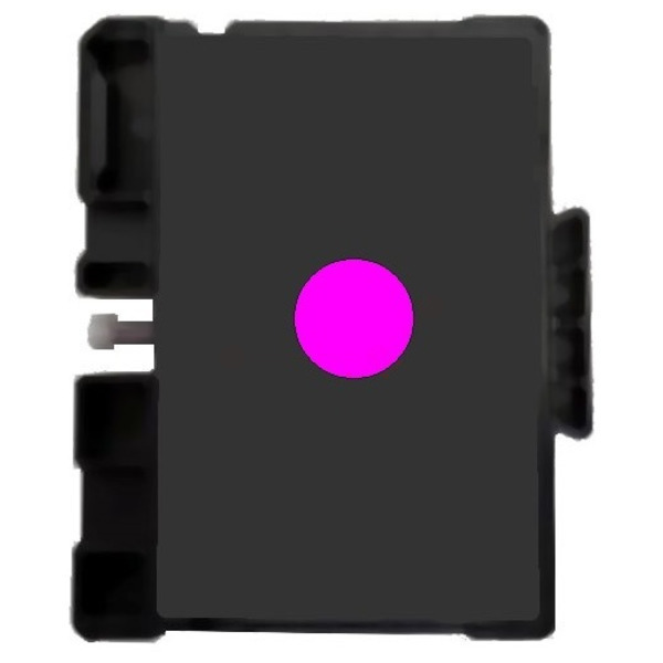 Original Ricoh 405767 / GC41ML Encre Divers